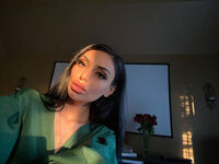 camgirl porn webcam Geld