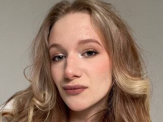 livechat DottyStibbins